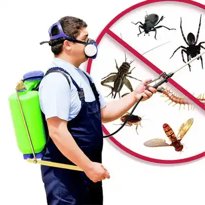pest control Upper Brookville
